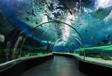 آکواریوم دبی (Dubai Aquarium) 